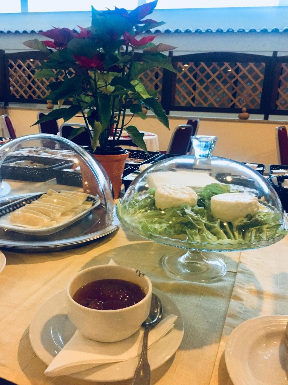 Palace Hotel E Spa Monte Rio Термаш-де-Сан-Педру-ду-Сул Экстерьер фото